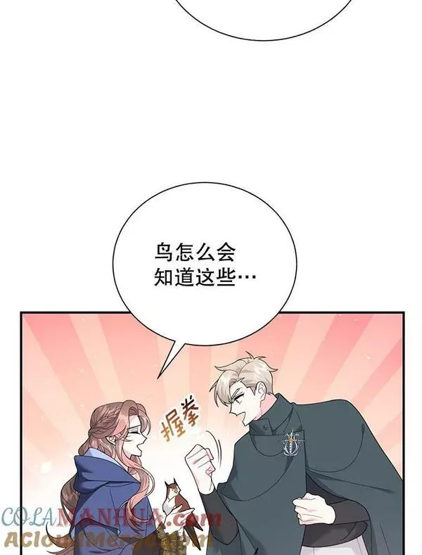 72.有缘分的鸟4