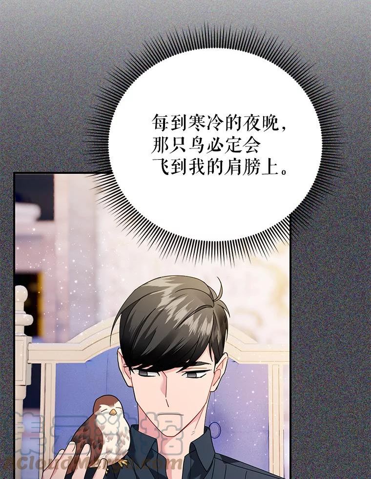 62.我的鸟4