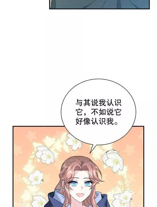 72.有缘分的鸟1