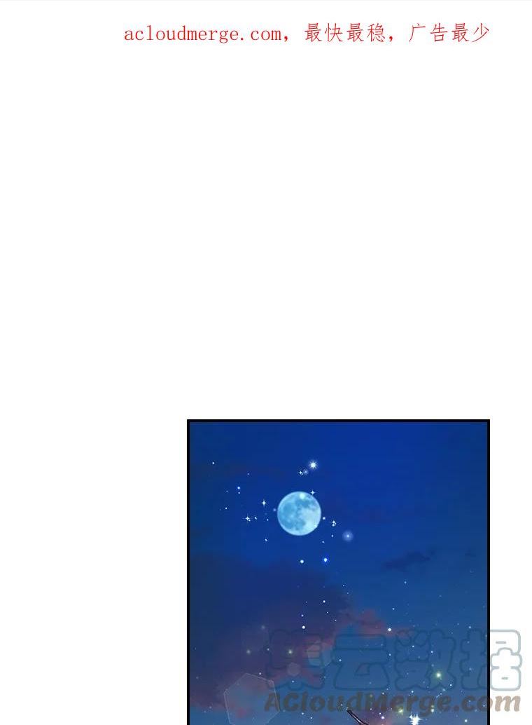 62.我的鸟0