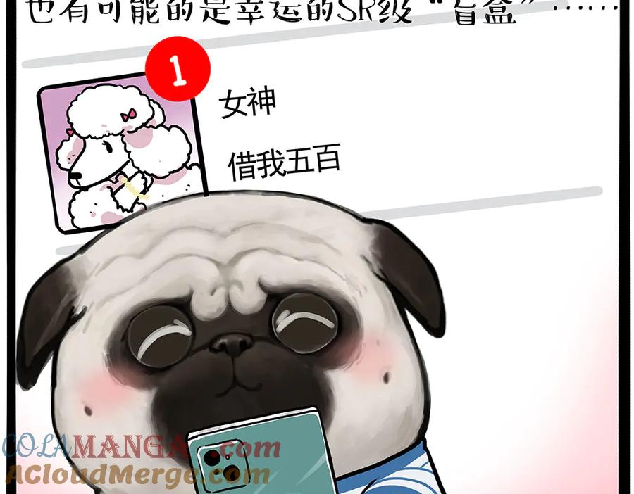 第447话 消息盲盒4