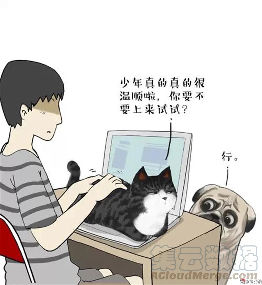 8 少年是“温顺”的生物4