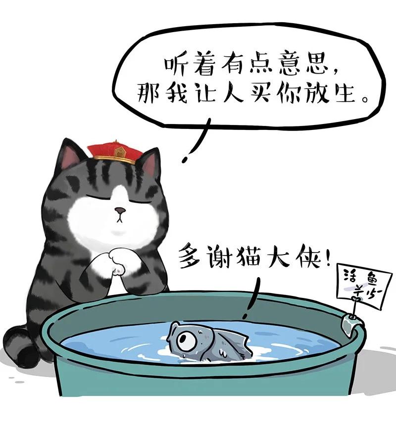 267 动物世界3