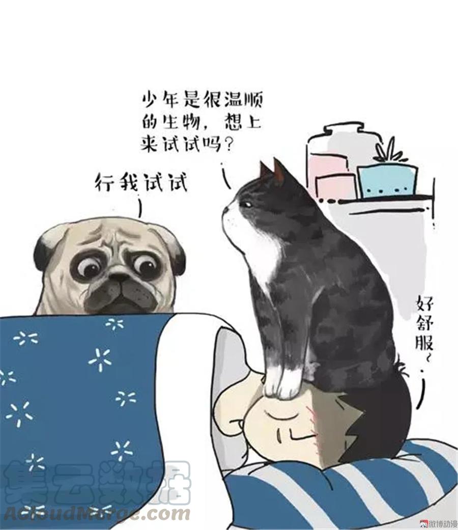 8 少年是“温顺”的生物0