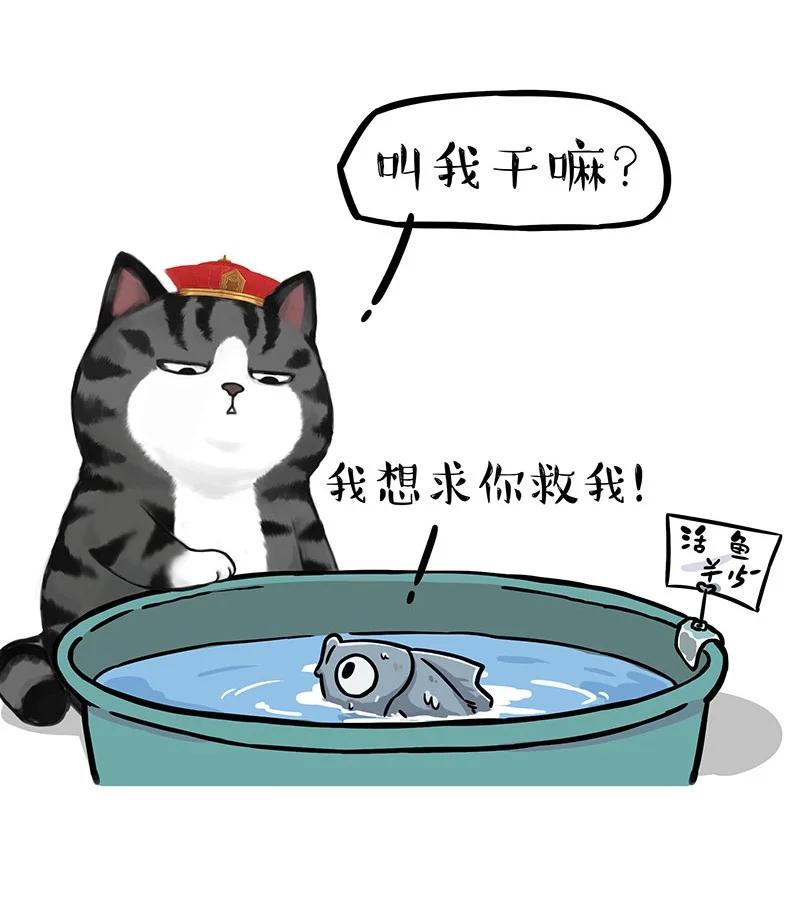 267 动物世界1