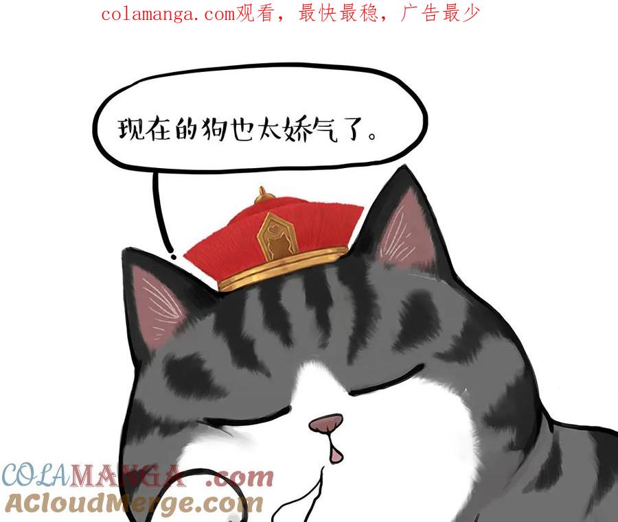 第448话 太“刑”了0
