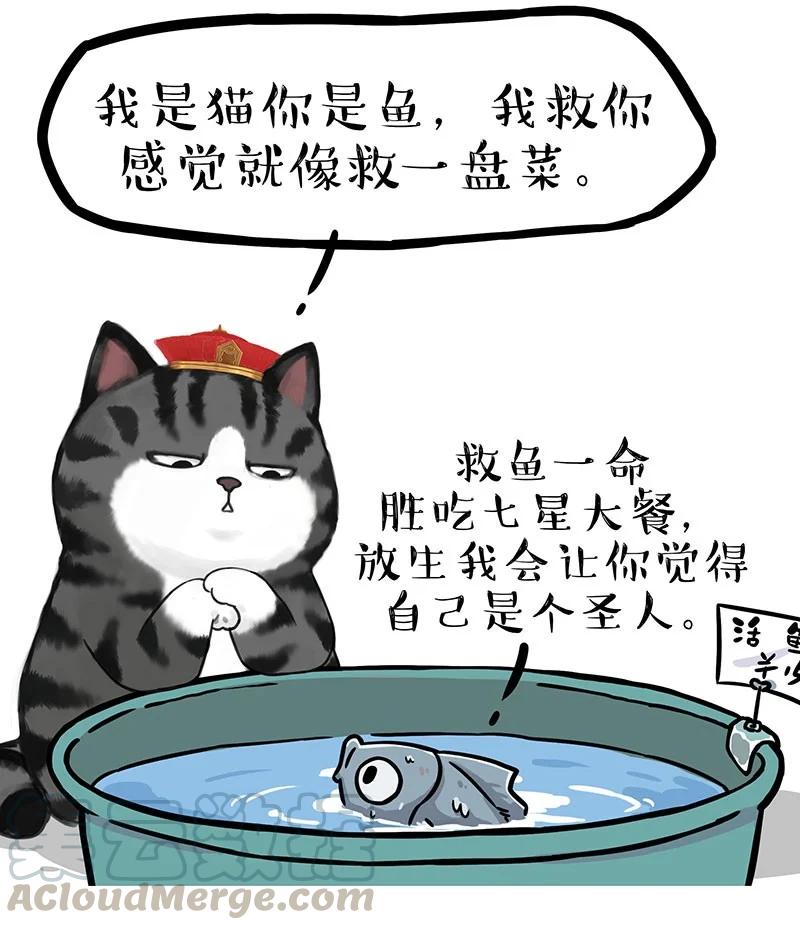 267 动物世界2