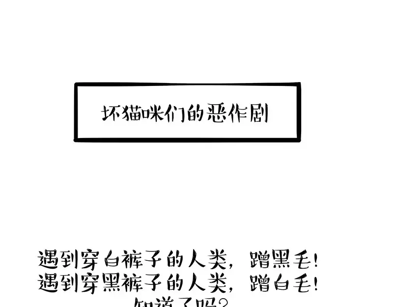 第405话 猫好狗好，人坏4