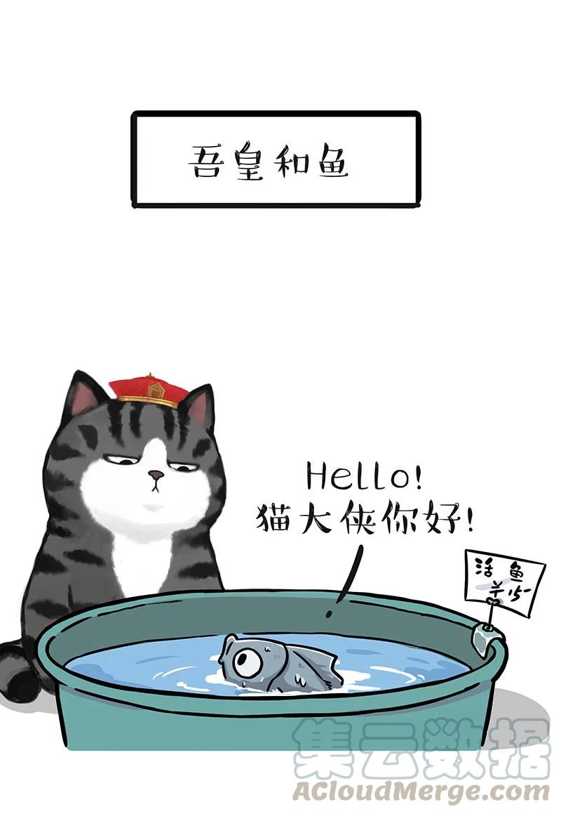 267 动物世界0