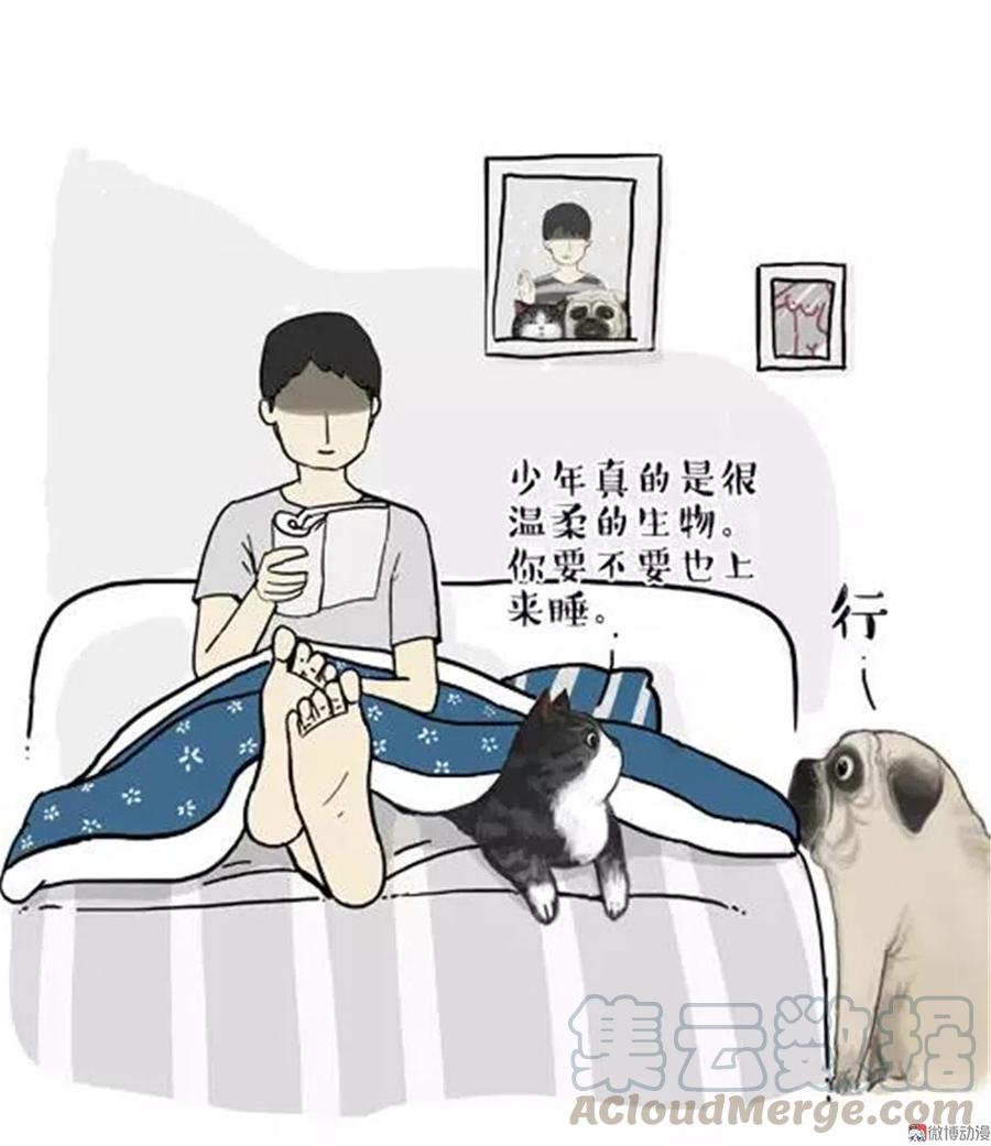 8 少年是“温顺”的生物2