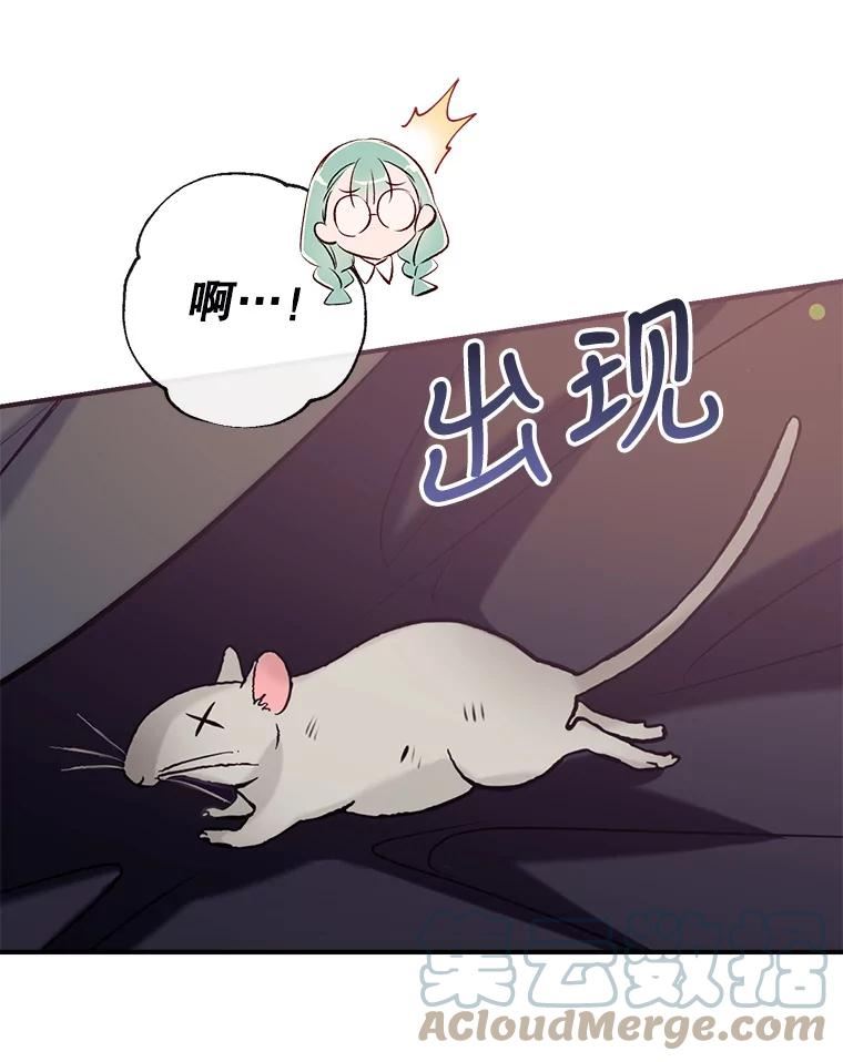 51.捉弄4