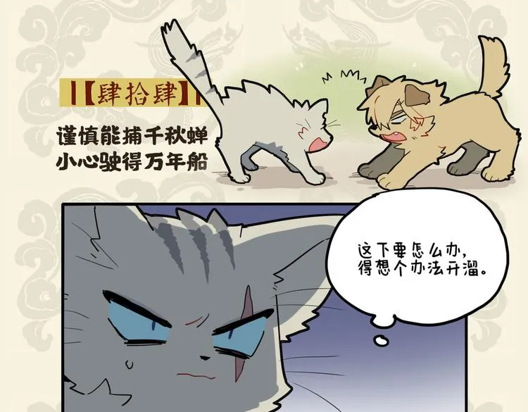 谨慎能捕千秋蝉 小心驶得万年船1