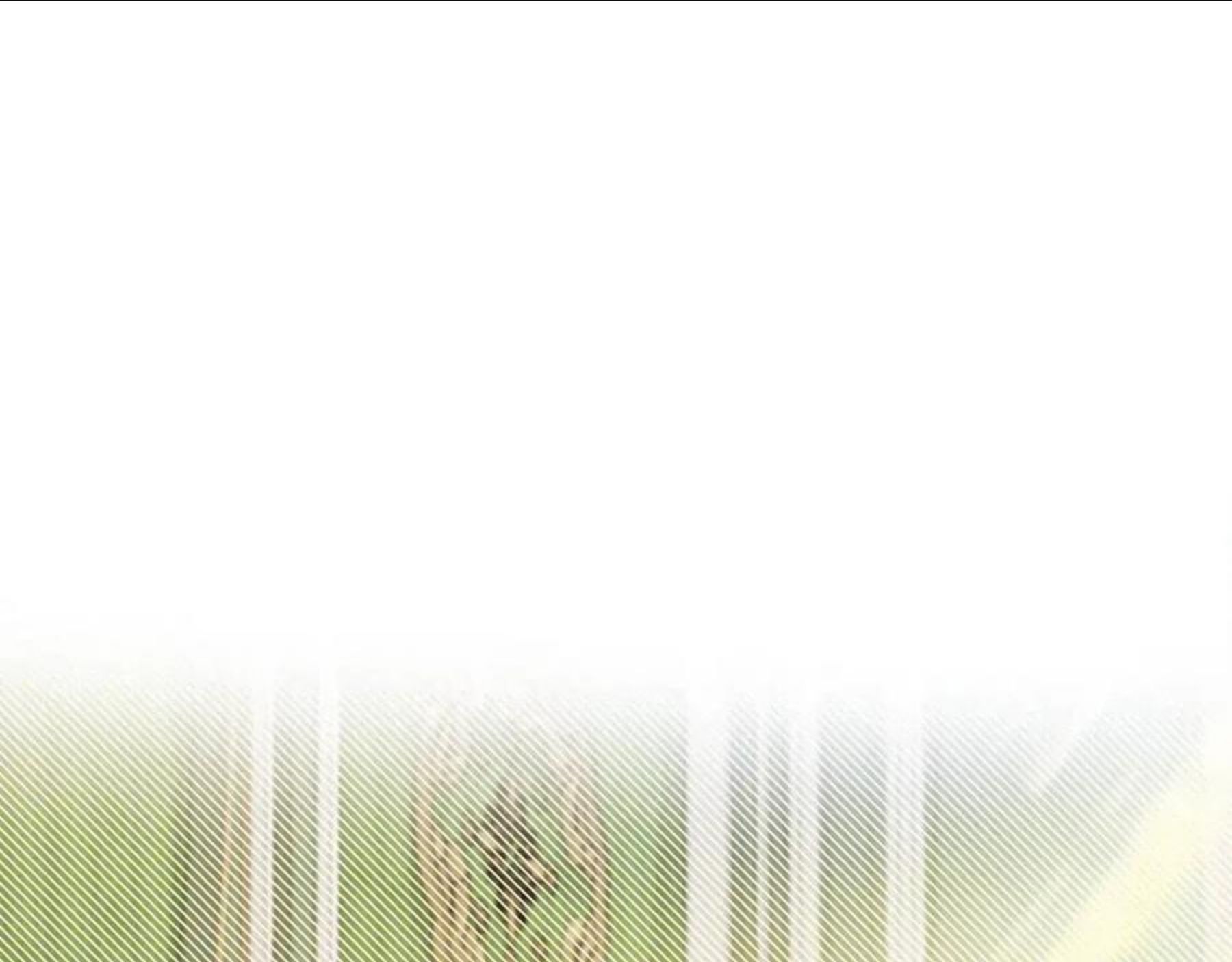 第37话 言灵的前提0