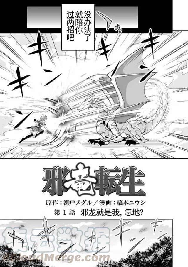 第1话 邪龙就是我，怎地？3
