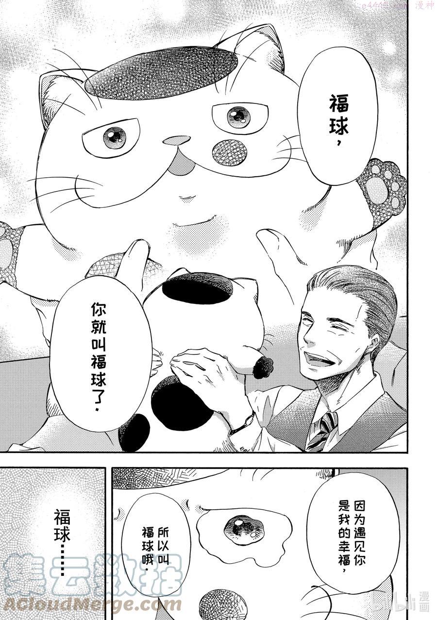 3 猫的名字2