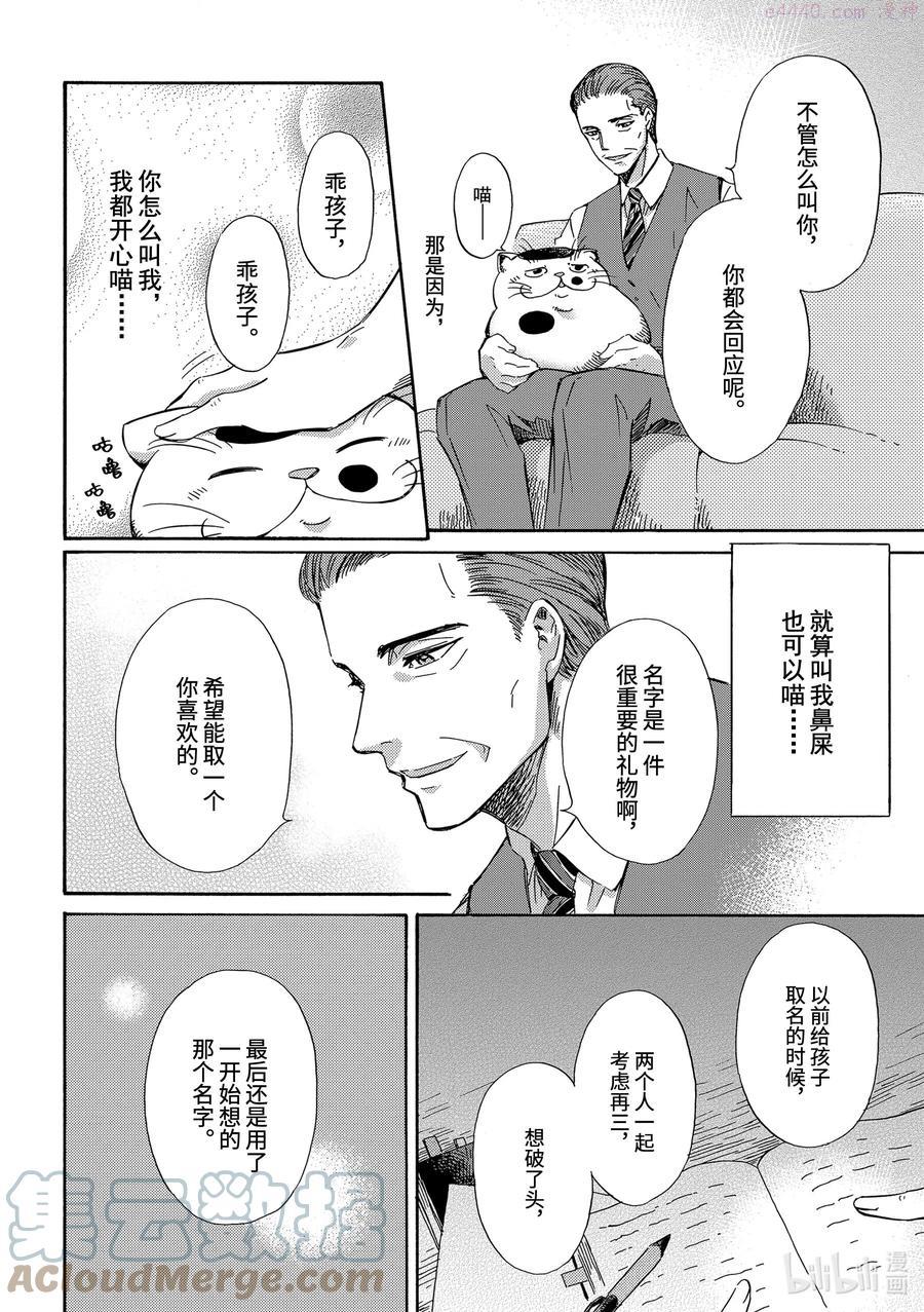 3 猫的名字1