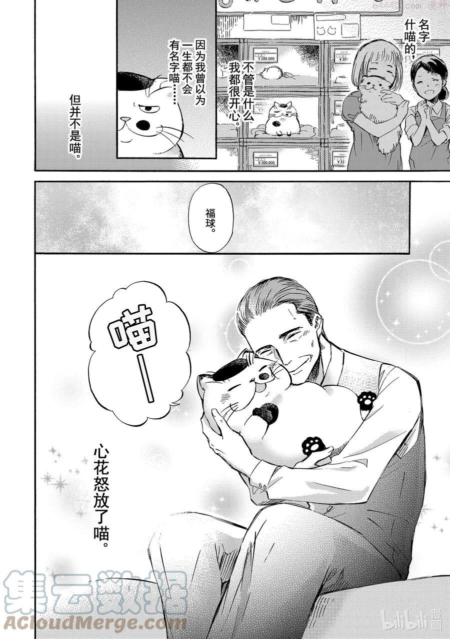 3 猫的名字3