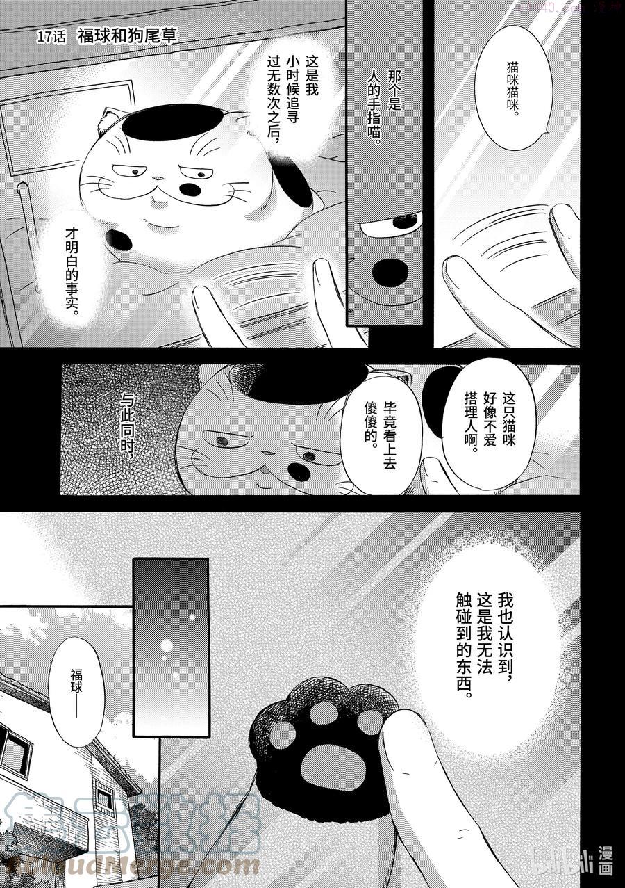17 福球和狗尾草0