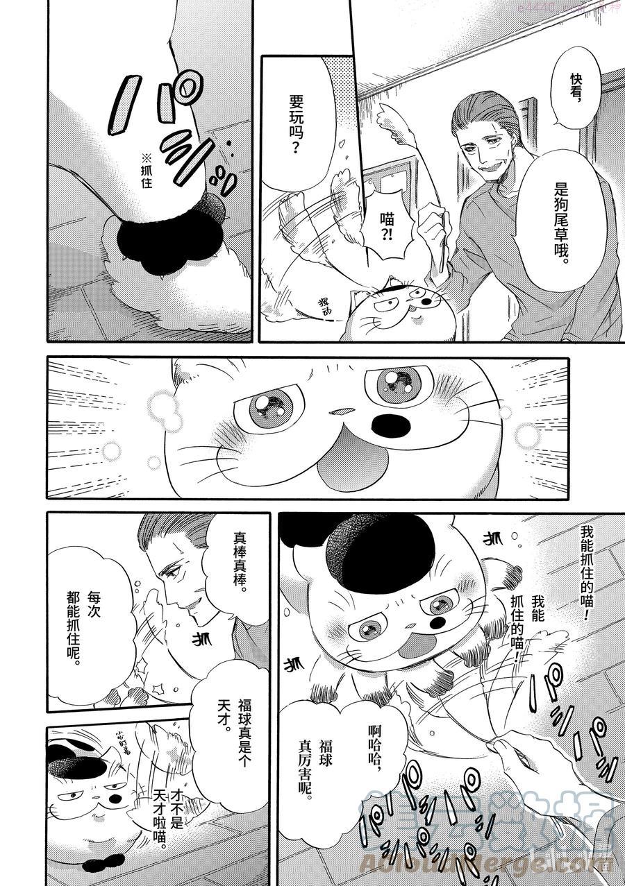 17 福球和狗尾草1