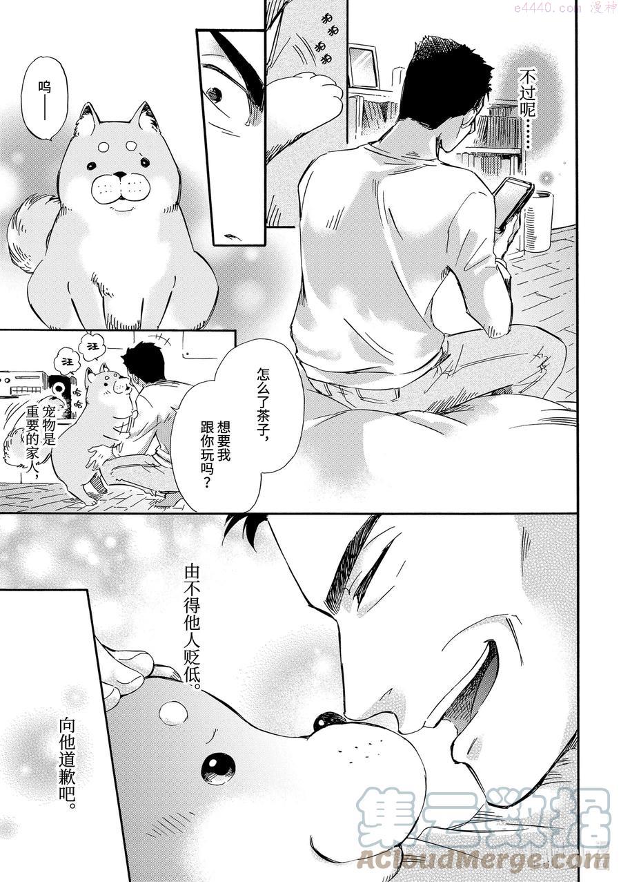 15.4 你的可爱猫咪2