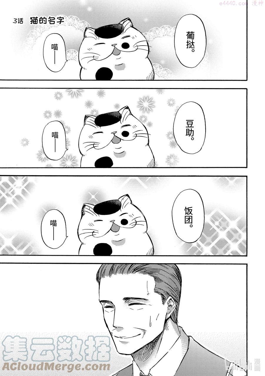 3 猫的名字0