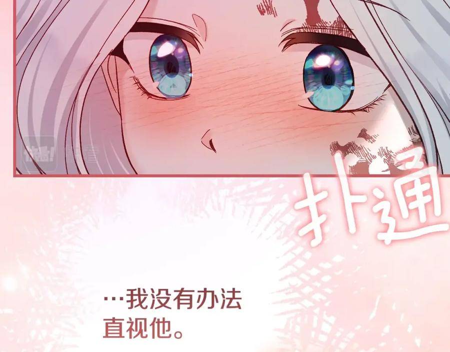 第35话 小玫瑰3