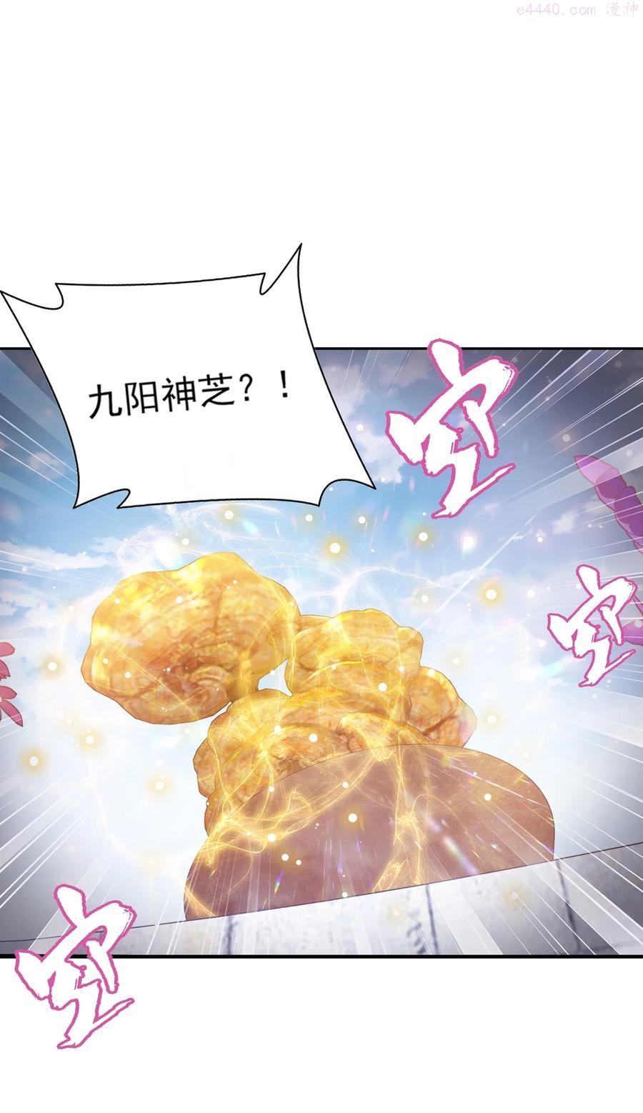 511 九阳神芝1
