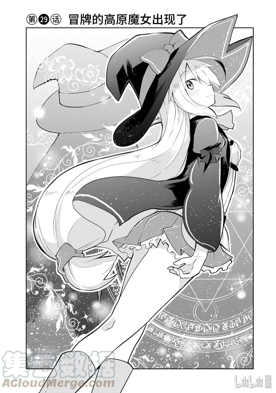 29-1 冒牌的高原魔女出现了0