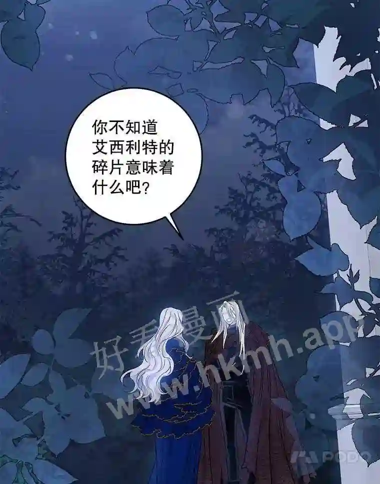 63.艾西利特碎片3
