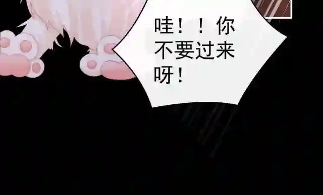 39 你有别的狗了0