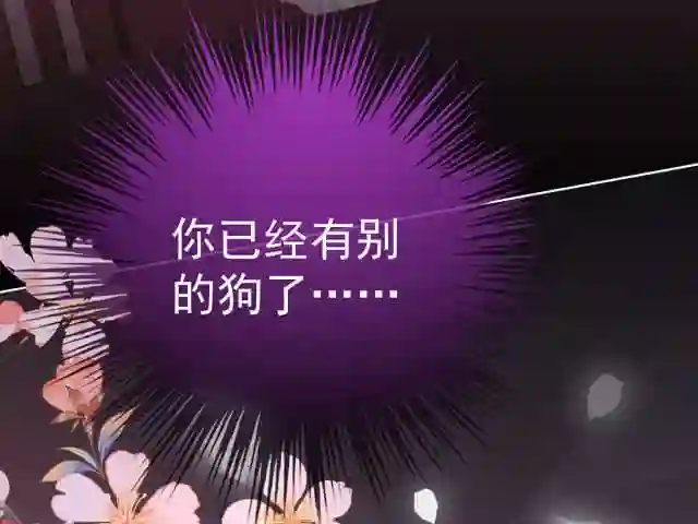 39 你有别的狗了3