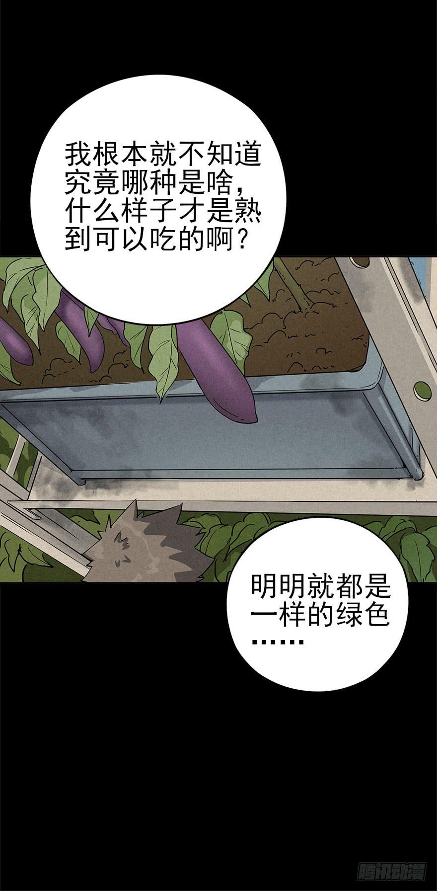 食材与甄选知识4
