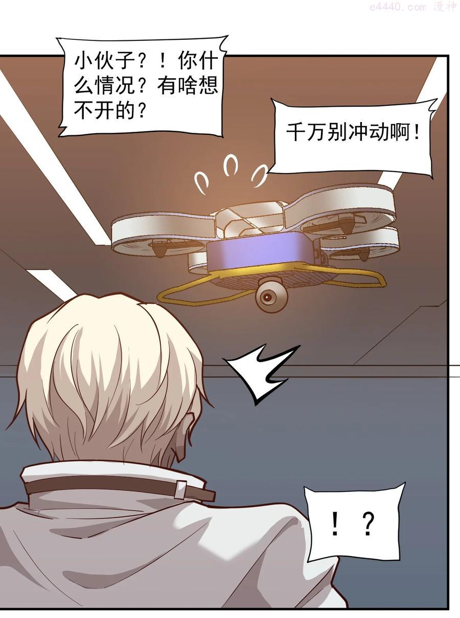 031 活体实验4