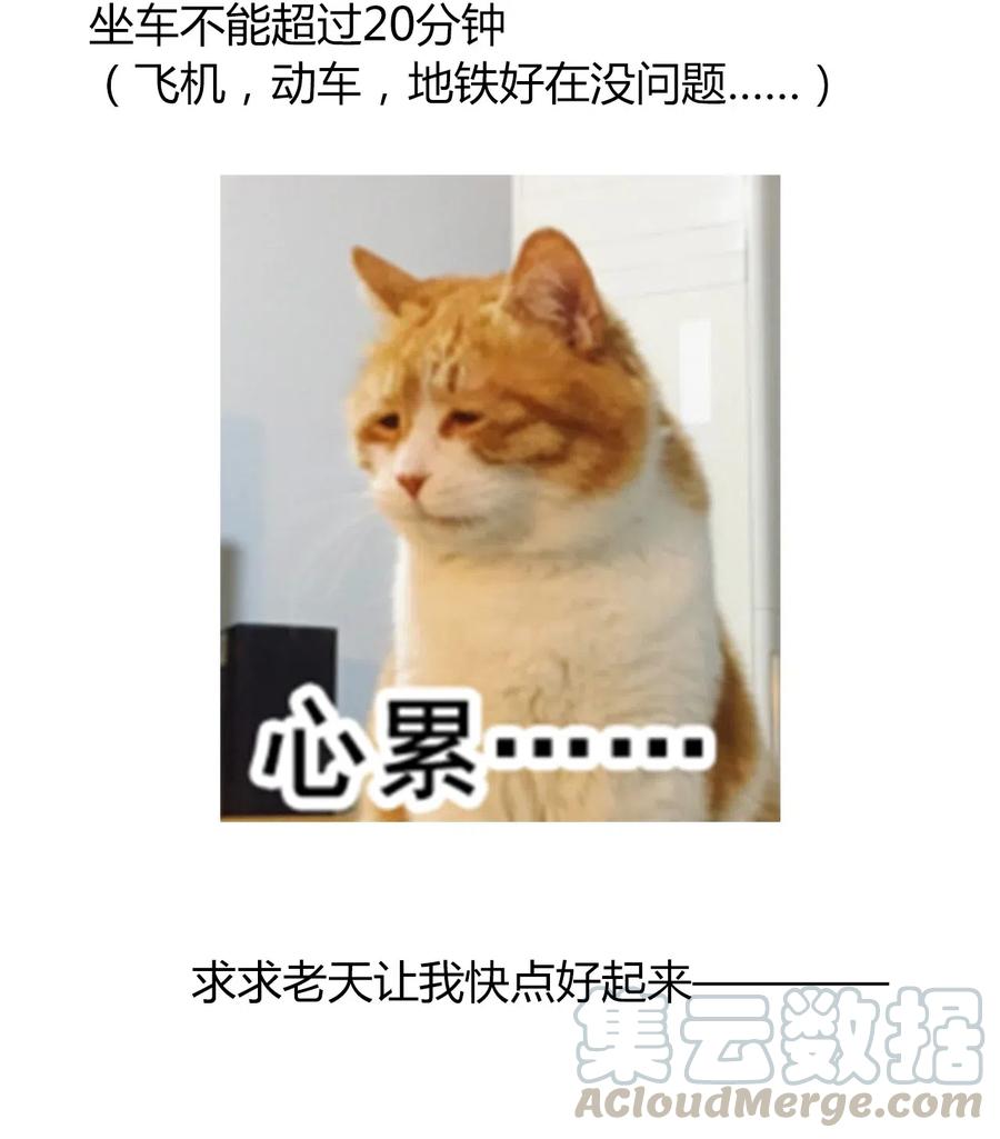 19.1 我就是请假条2
