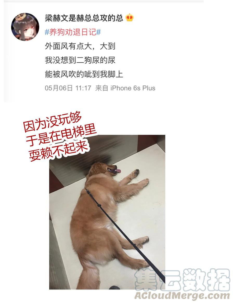 请请请请 假假假假条条条条……3
