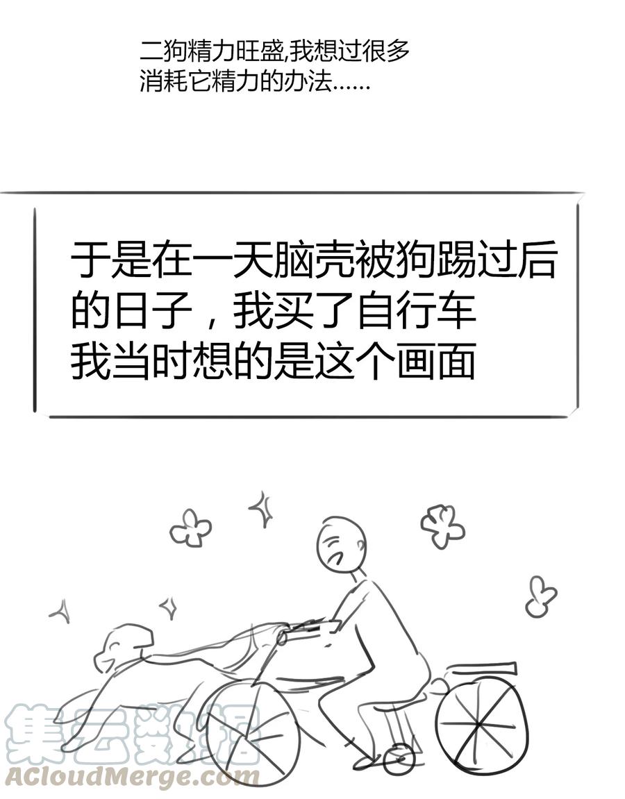 请请请请 假假假假条条条条……4