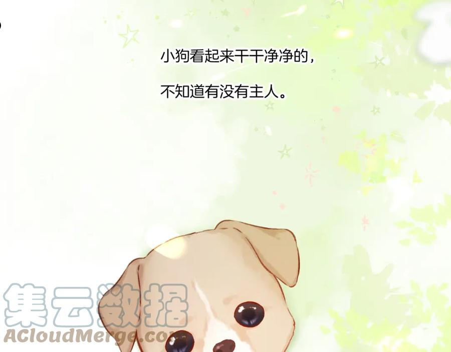 第124话 我的小狗3