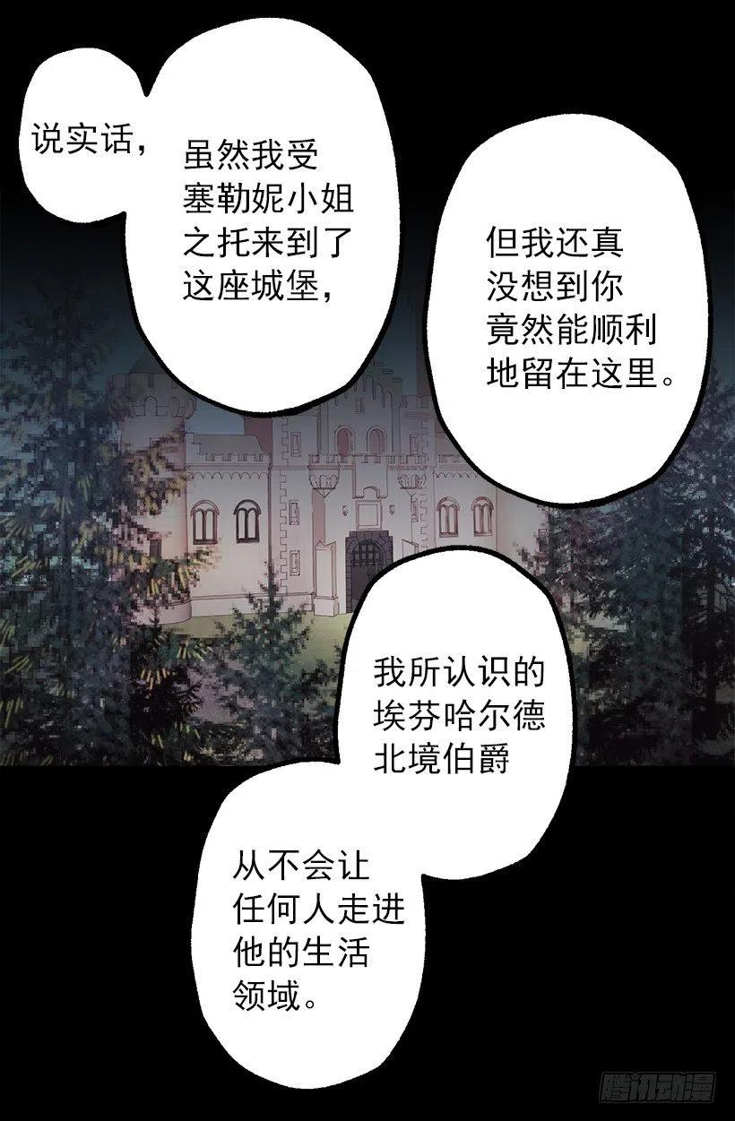 八卦的多萝西3