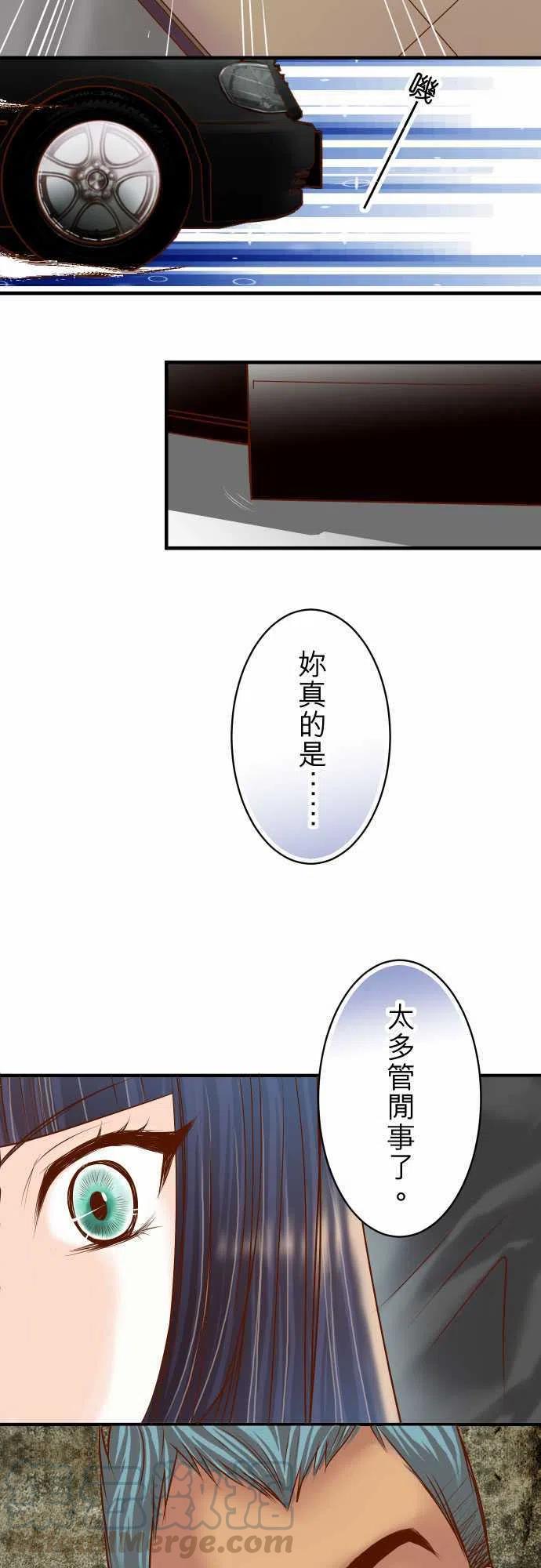 第三章狼群81 冲突3