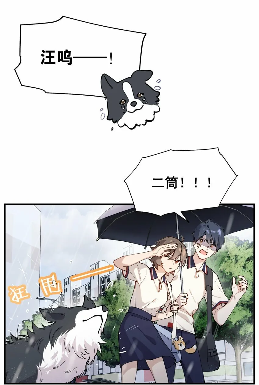 chap.02 偶然的必然2