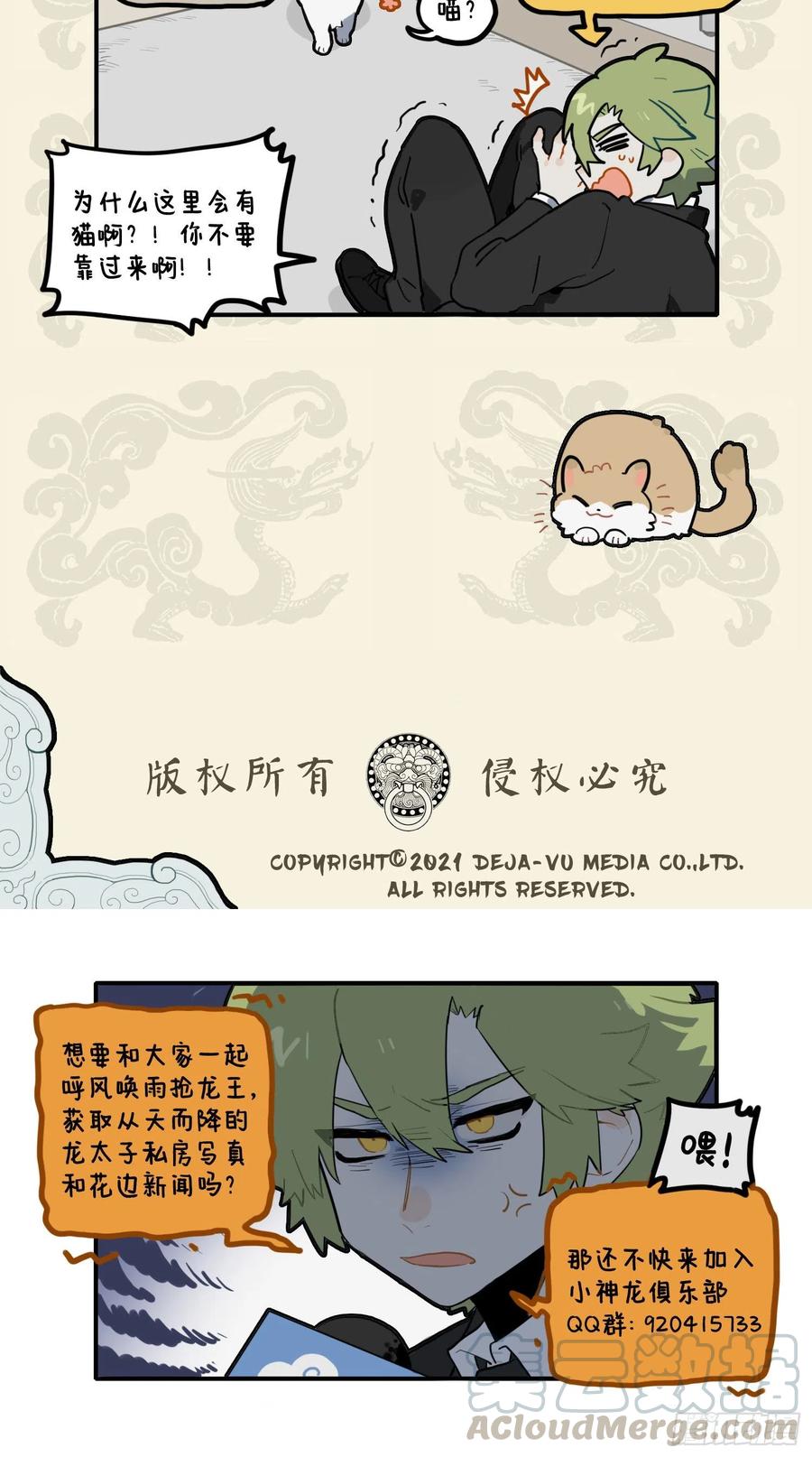 矫若游龙迅如狗，一见狸奴腿发抖3