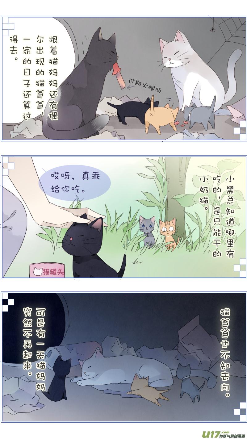 蓝翅猫咪版2