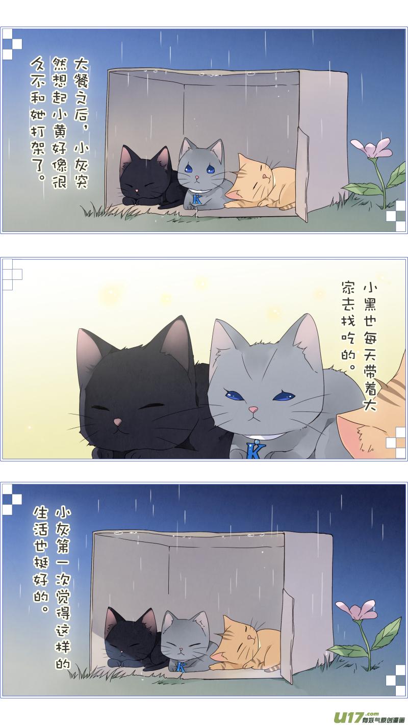 蓝翅猫咪版4