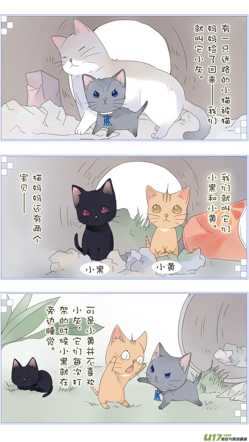 蓝翅猫咪版1