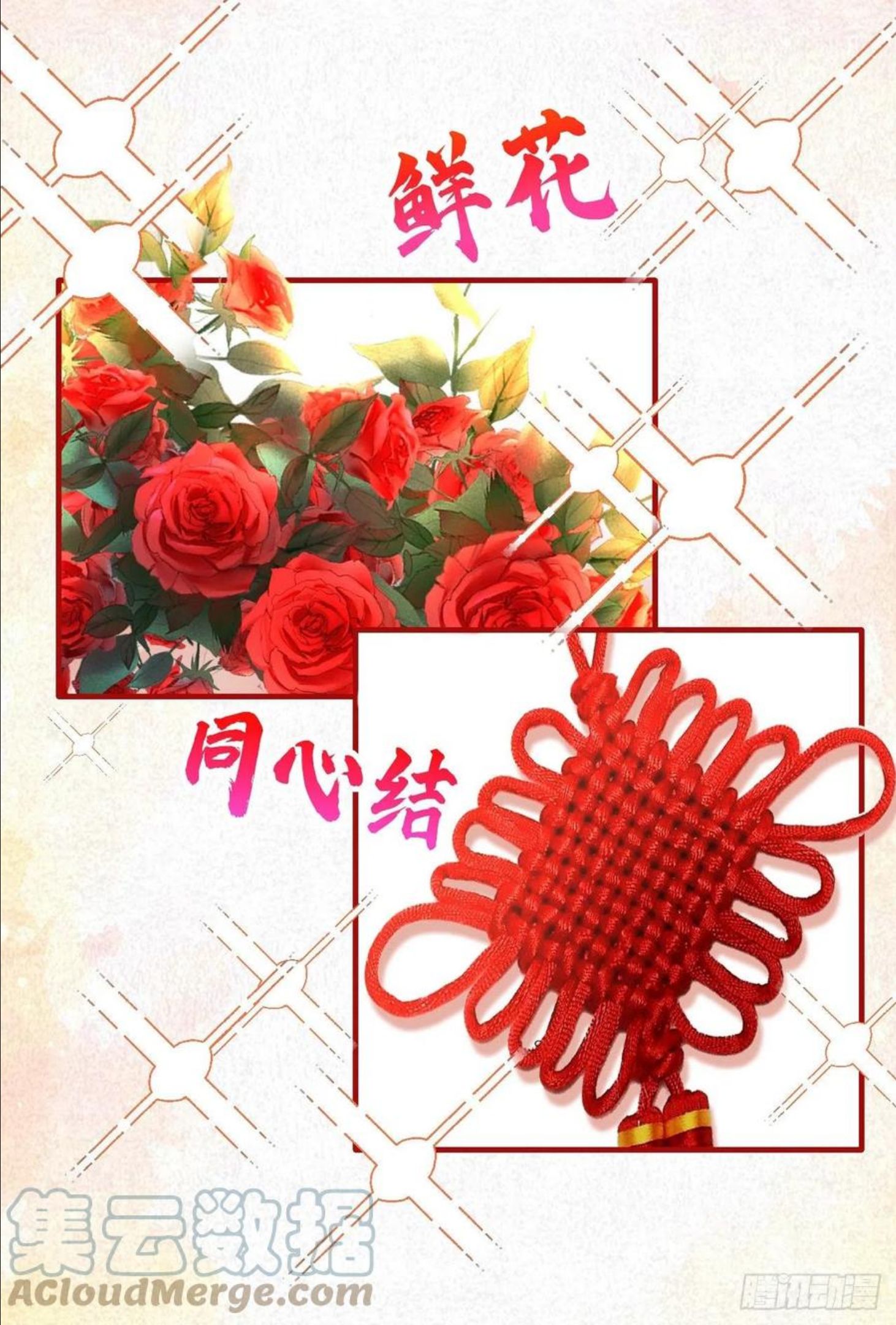 第9话 我在向你求婚2