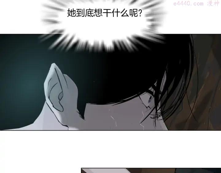 第115话 好奇害死猫1