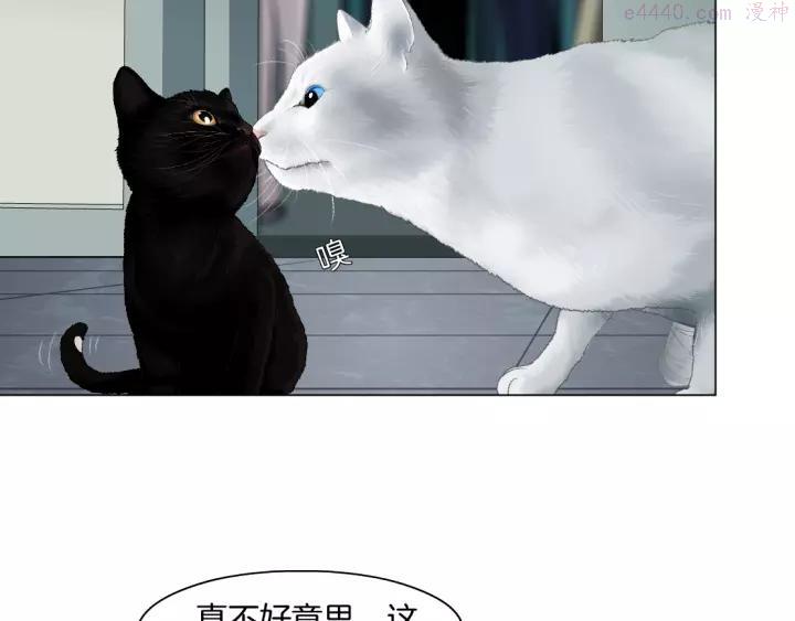 第97话 新宠1