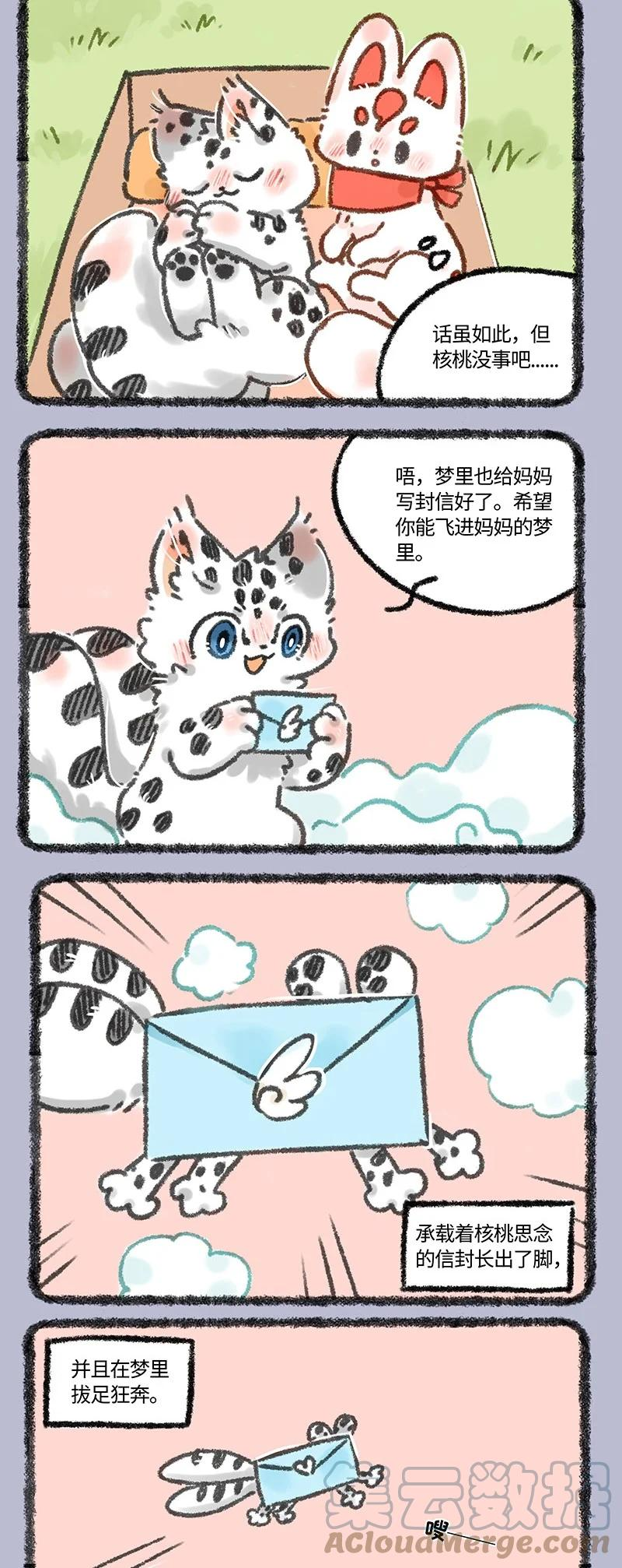 606 给妈妈的信1