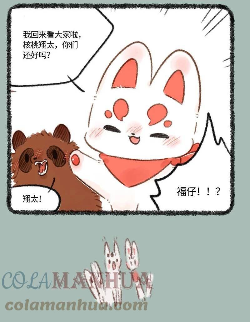 715 福仔回来啦3