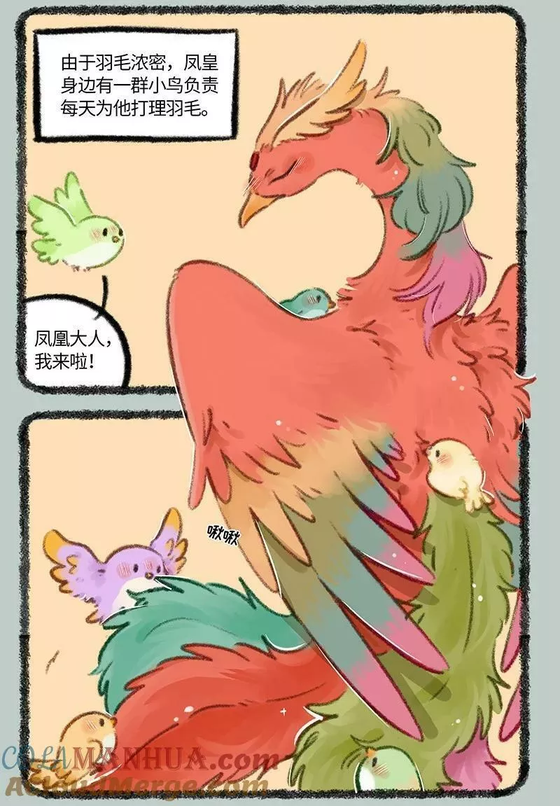 755 凤凰大人的宠爱0